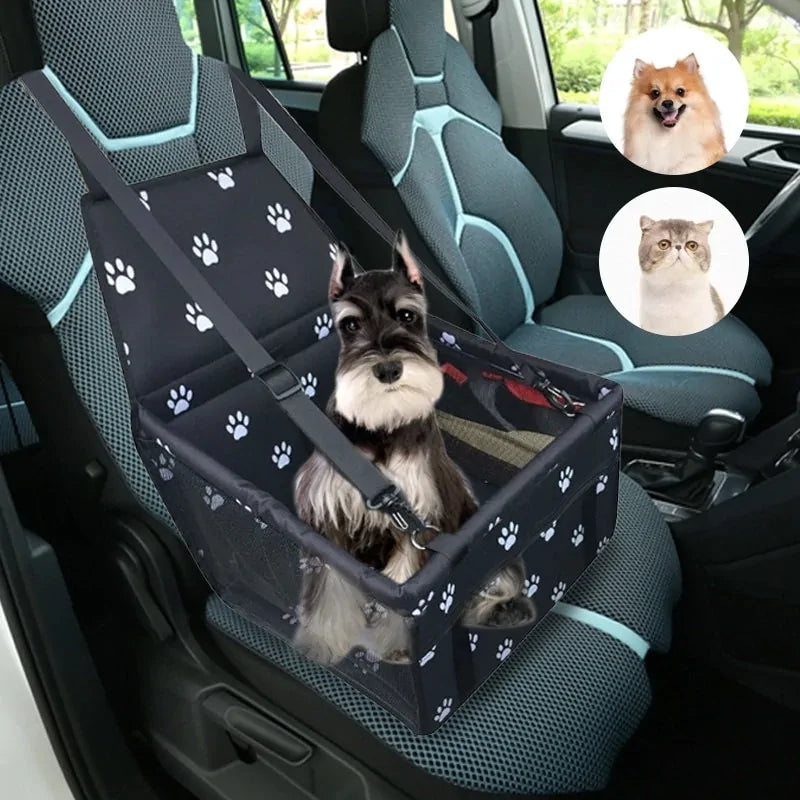 Premium Dog Car Backseat Travel Essential