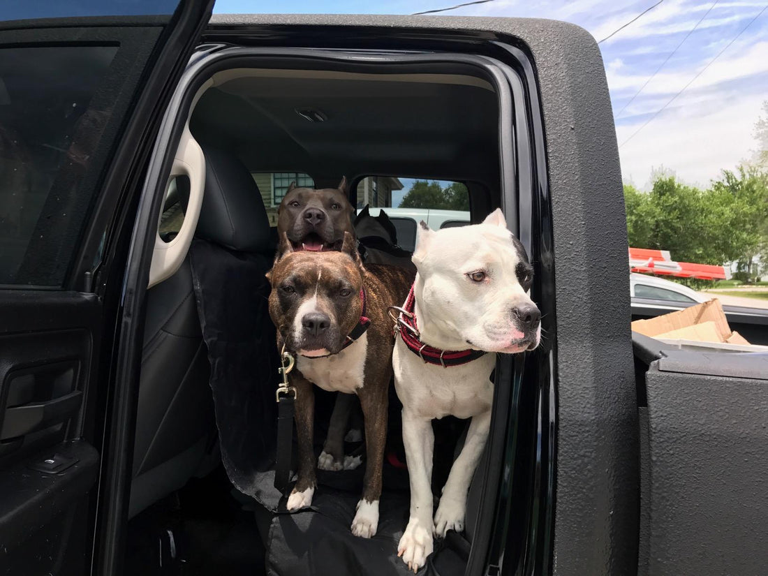 PawShield™ | Waterproof Non-Slip Dog Car Seat Hammock